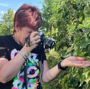 Vlinders fotograferen